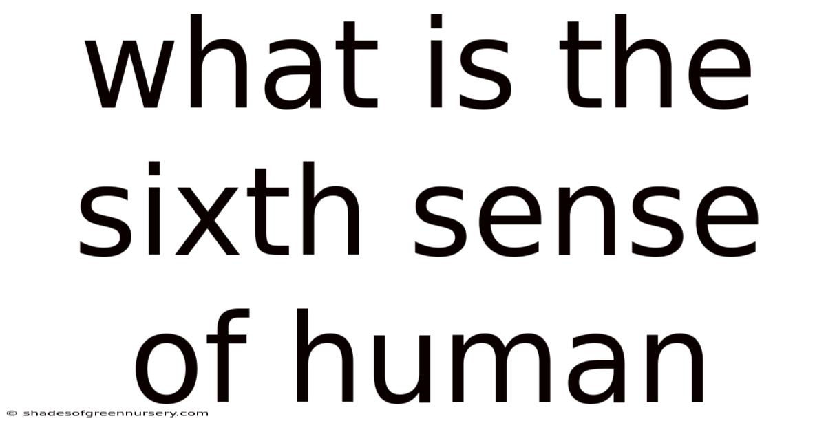What Is The Sixth Sense Of Human
