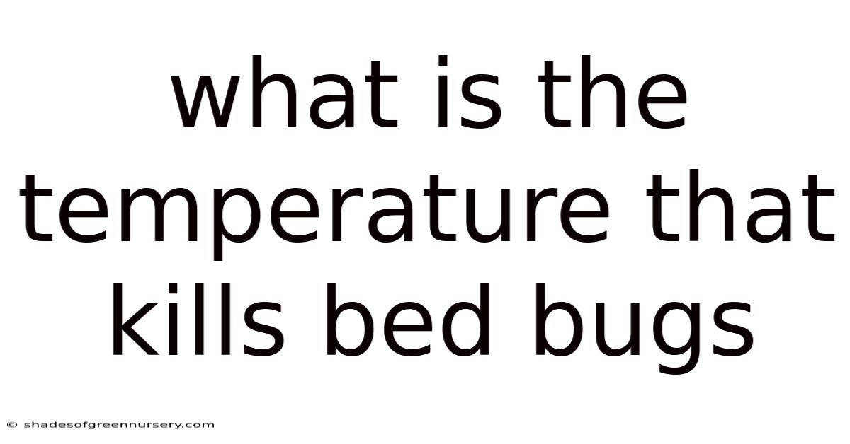 What Is The Temperature That Kills Bed Bugs