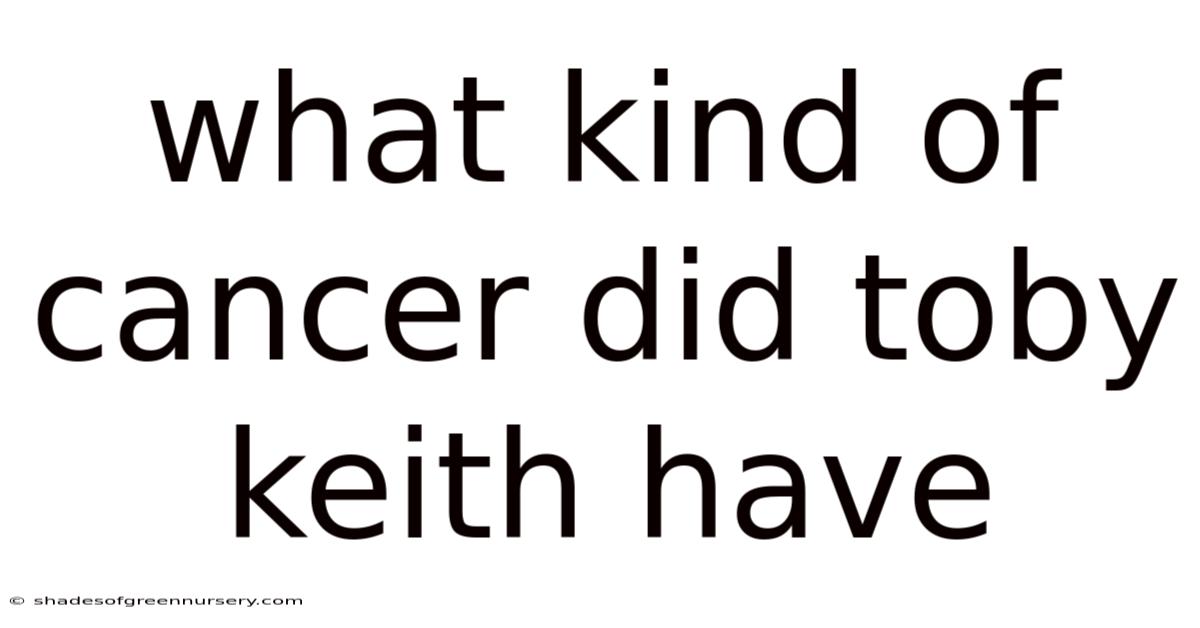 What Kind Of Cancer Did Toby Keith Have
