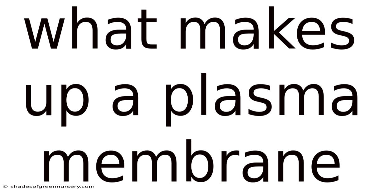 What Makes Up A Plasma Membrane