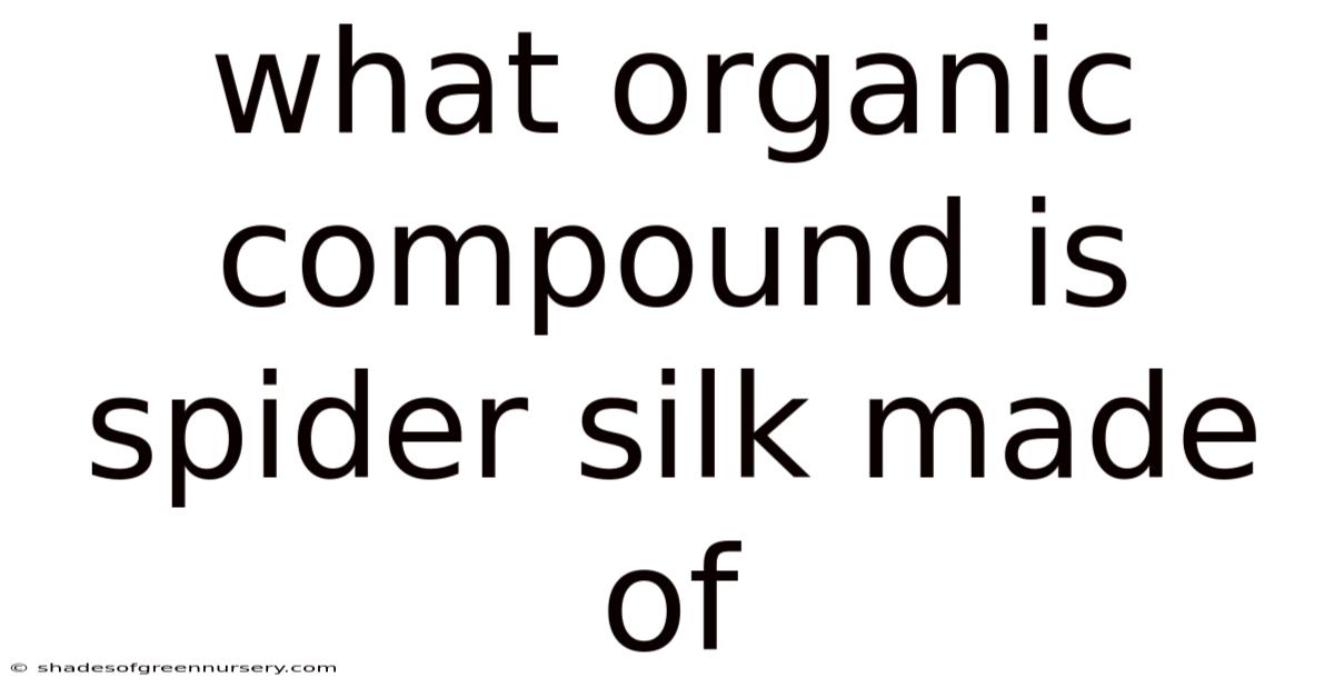 What Organic Compound Is Spider Silk Made Of