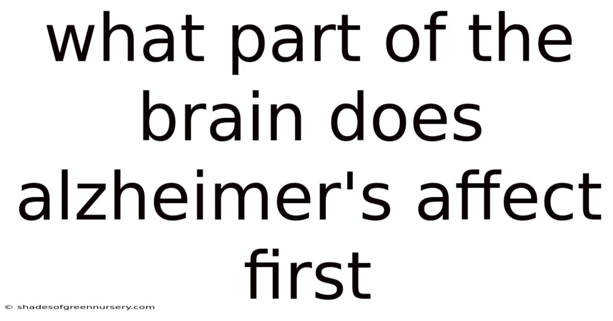 What Part Of The Brain Does Alzheimer's Affect First