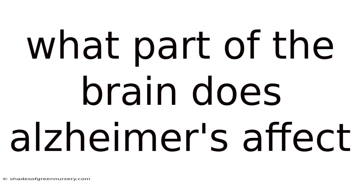 What Part Of The Brain Does Alzheimer's Affect