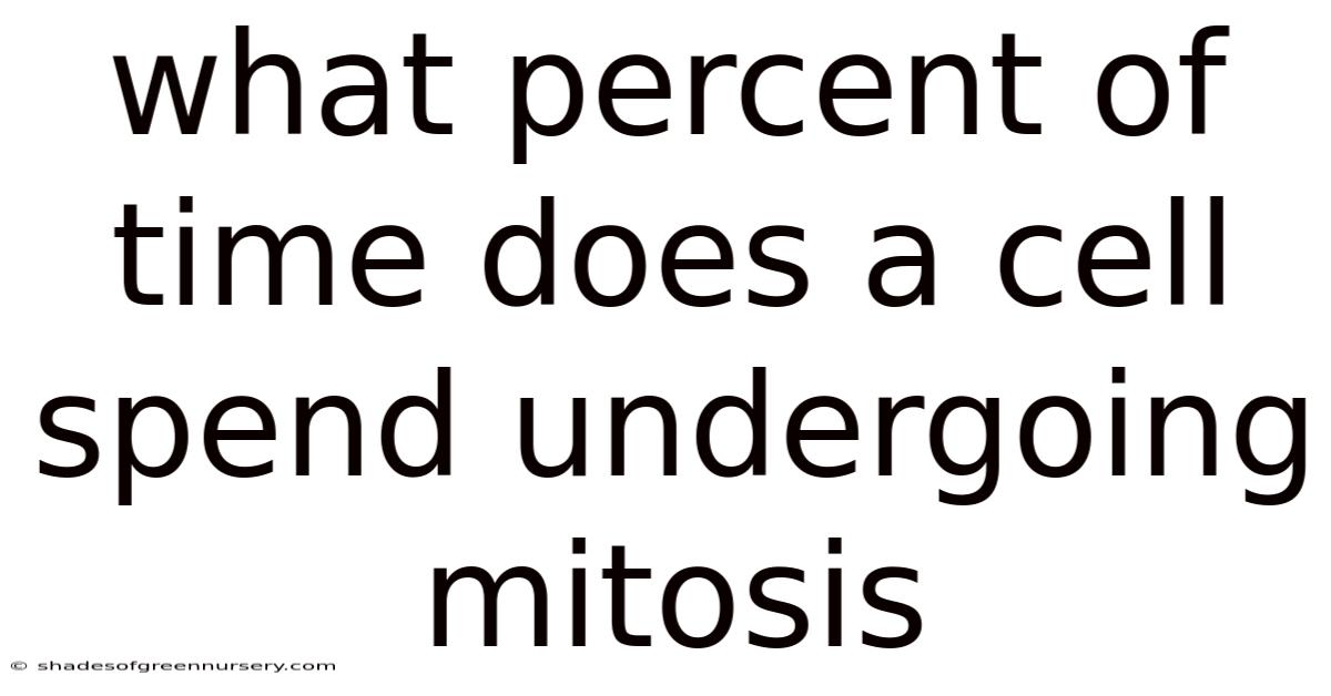 What Percent Of Time Does A Cell Spend Undergoing Mitosis