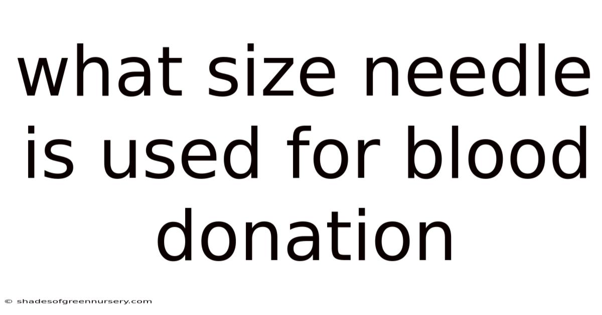 What Size Needle Is Used For Blood Donation