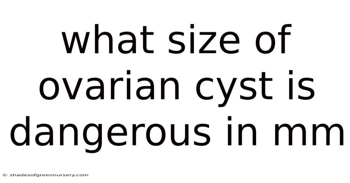 What Size Of Ovarian Cyst Is Dangerous In Mm