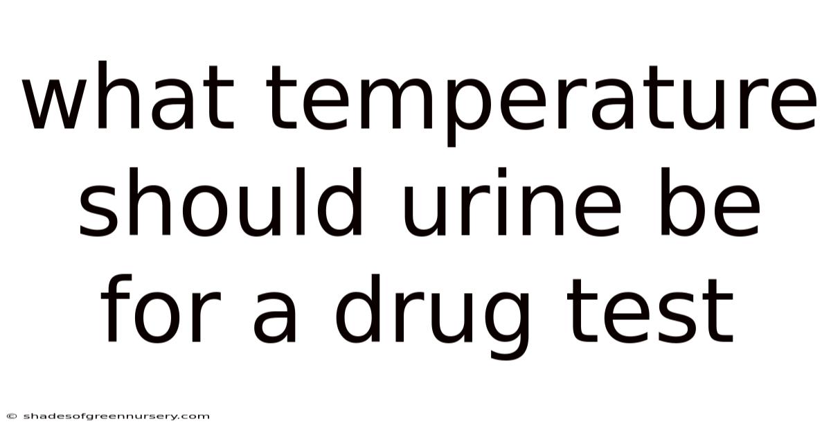 What Temperature Should Urine Be For A Drug Test