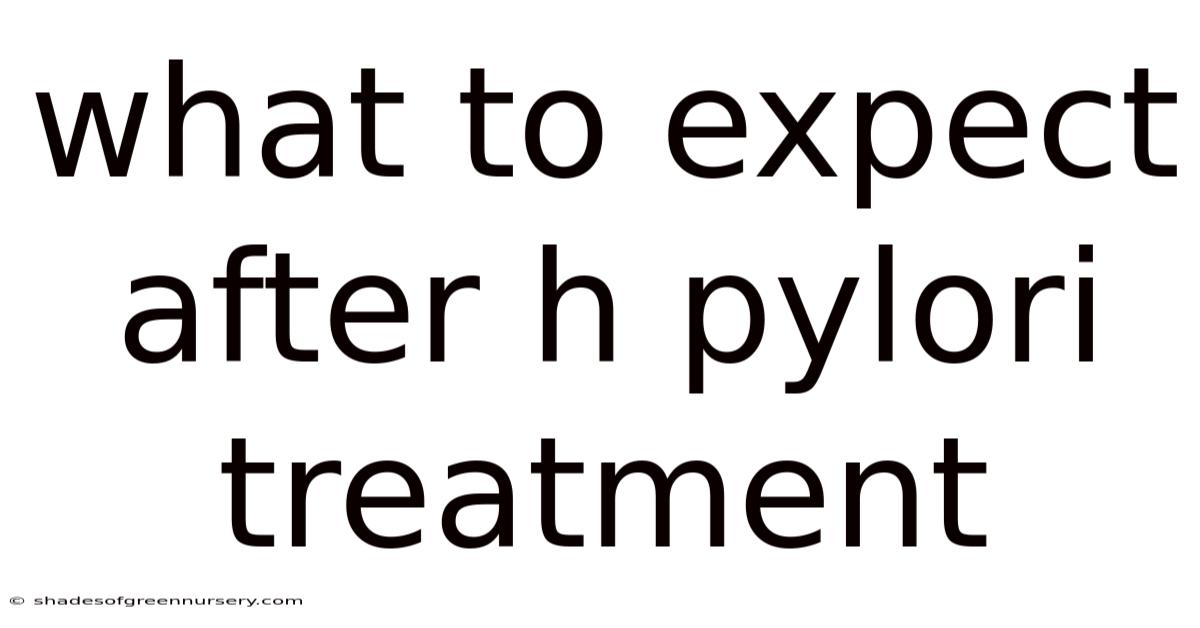 What To Expect After H Pylori Treatment
