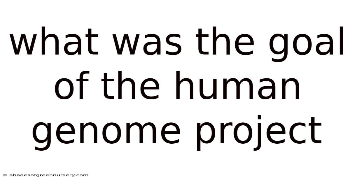 What Was The Goal Of The Human Genome Project