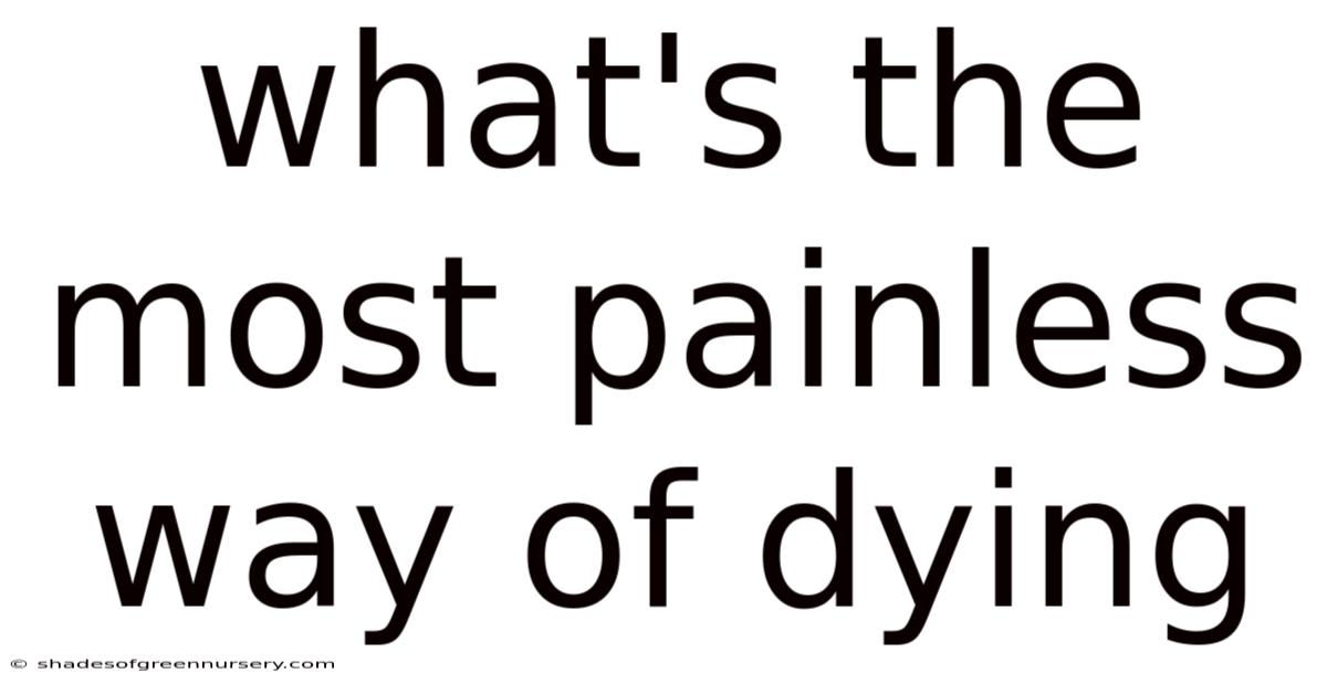What's The Most Painless Way Of Dying