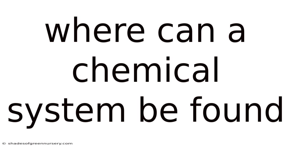 Where Can A Chemical System Be Found