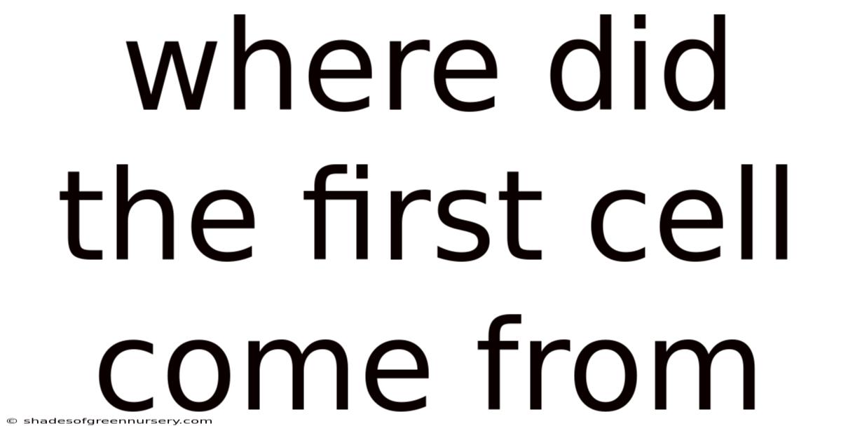 Where Did The First Cell Come From