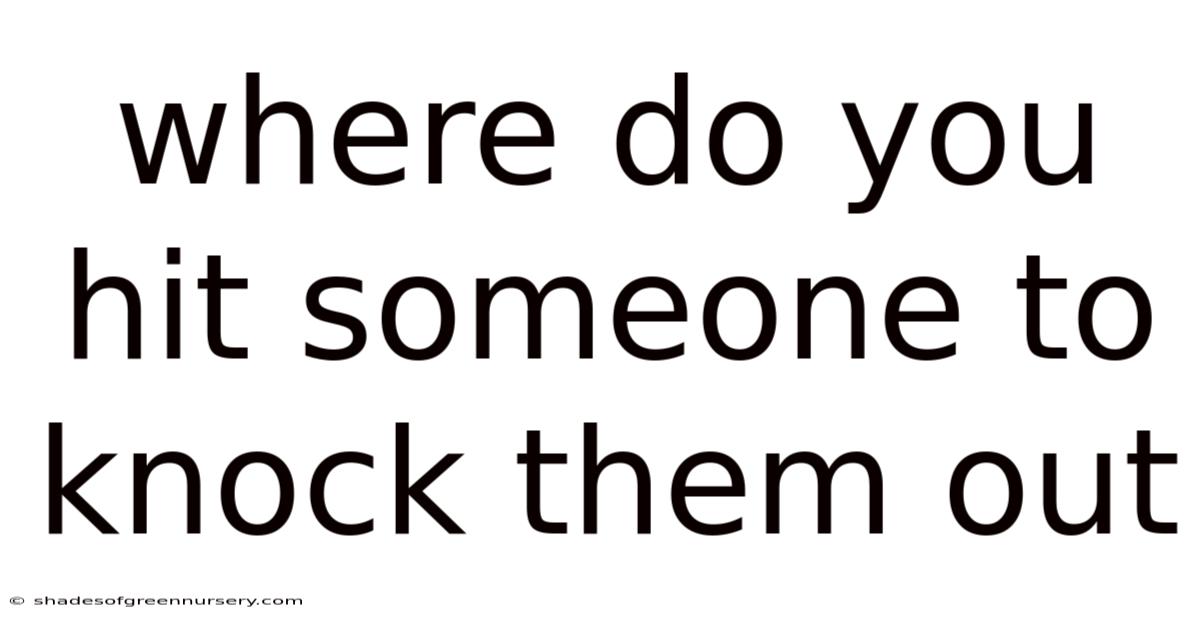 Where Do You Hit Someone To Knock Them Out