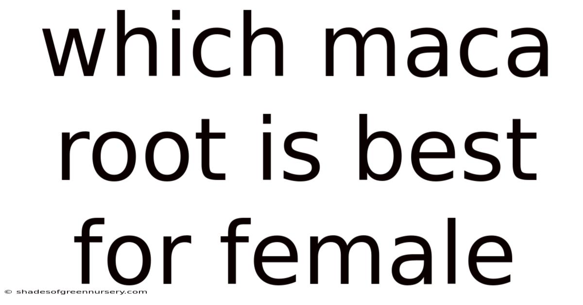 Which Maca Root Is Best For Female