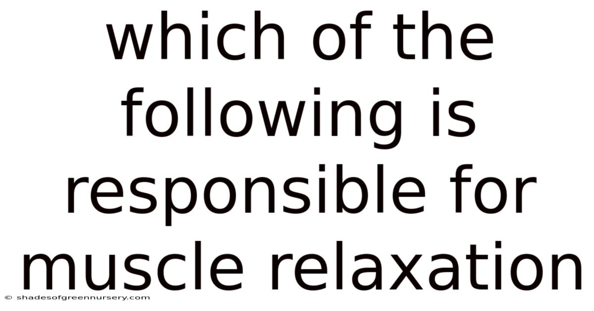 Which Of The Following Is Responsible For Muscle Relaxation
