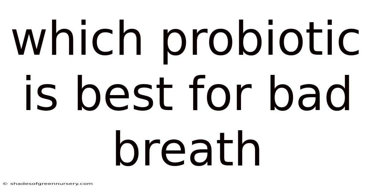 Which Probiotic Is Best For Bad Breath