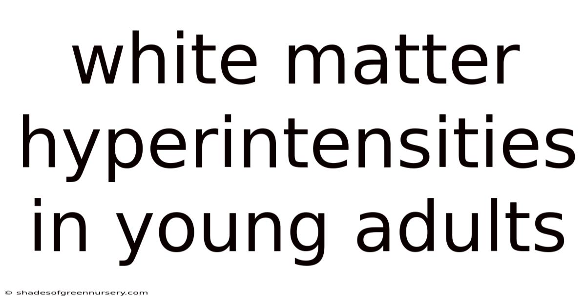 White Matter Hyperintensities In Young Adults