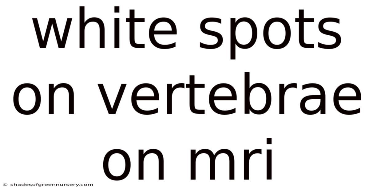 White Spots On Vertebrae On Mri
