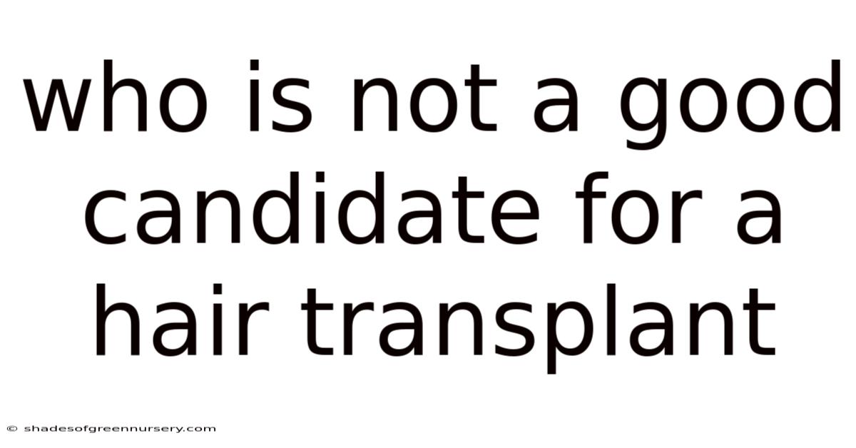 Who Is Not A Good Candidate For A Hair Transplant