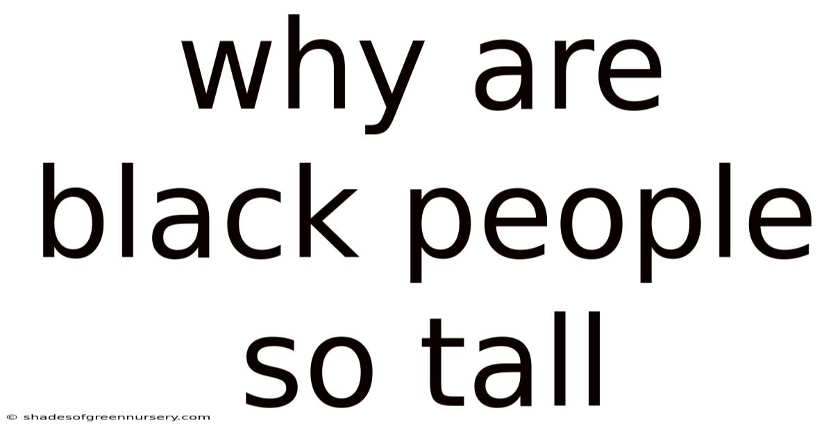 Why Are Black People So Tall