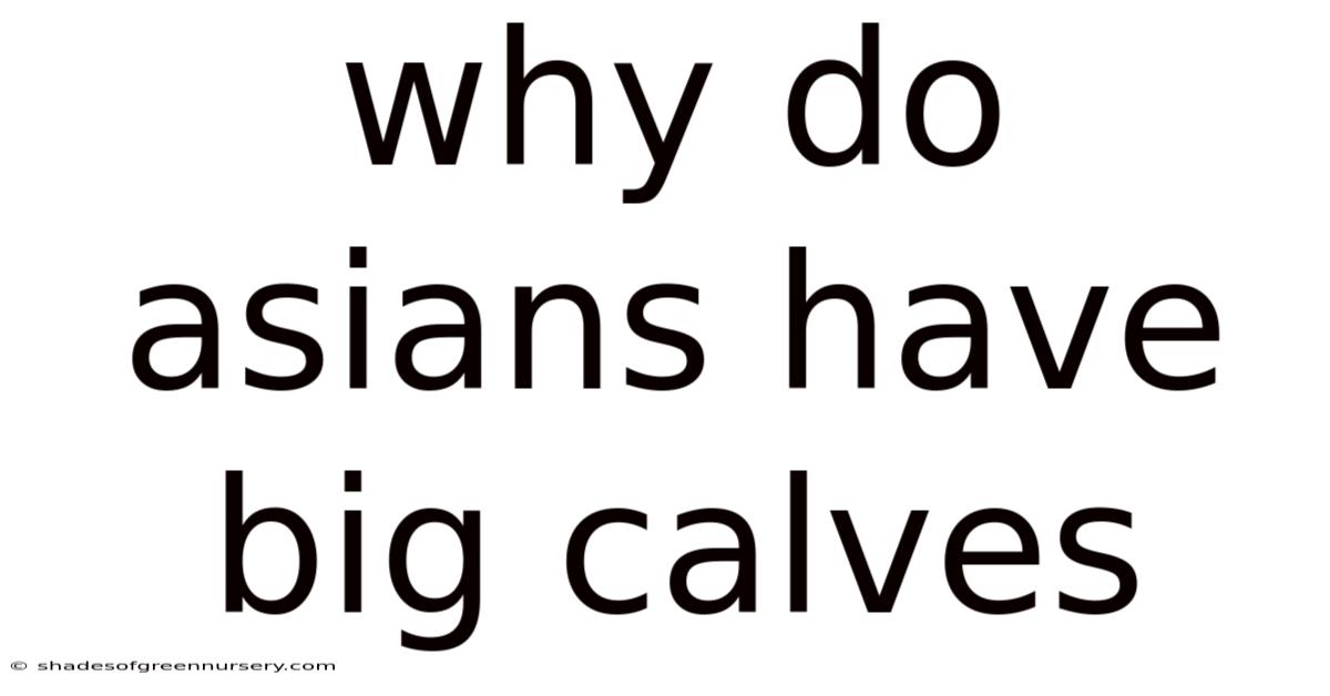 Why Do Asians Have Big Calves