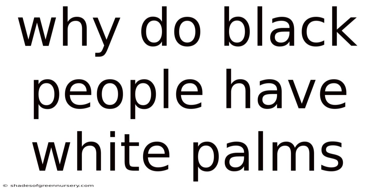 Why Do Black People Have White Palms
