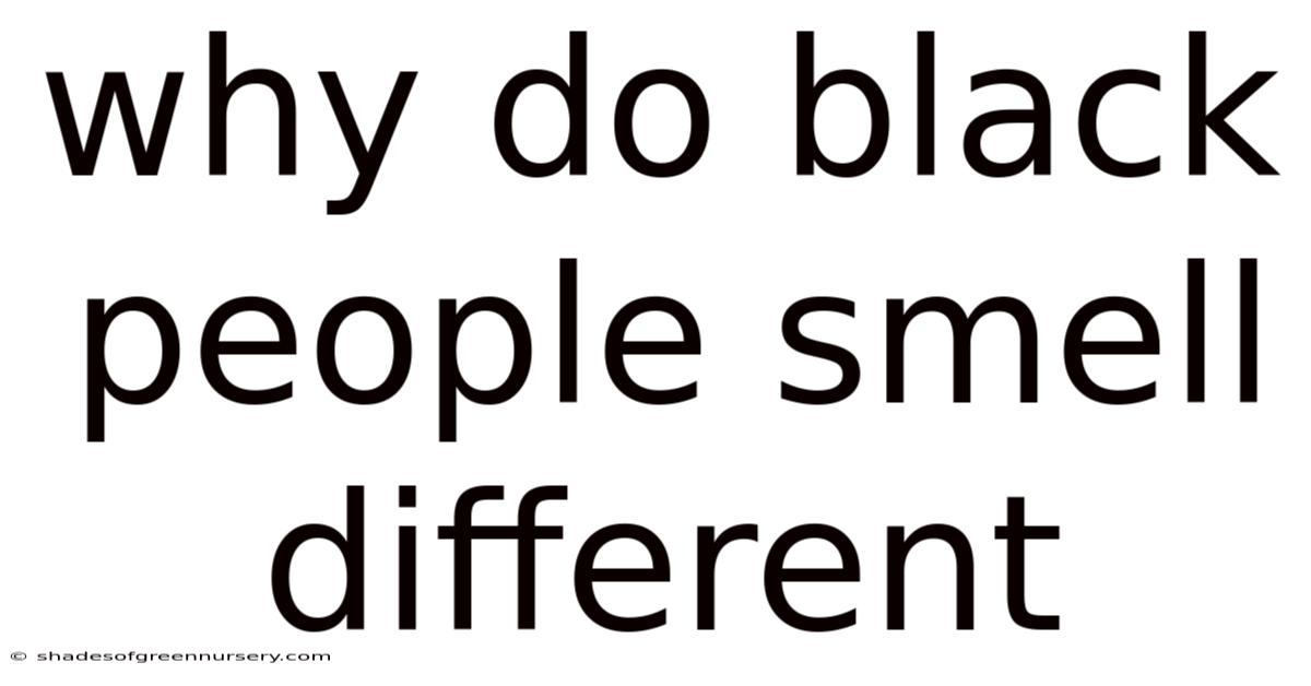 Why Do Black People Smell Different