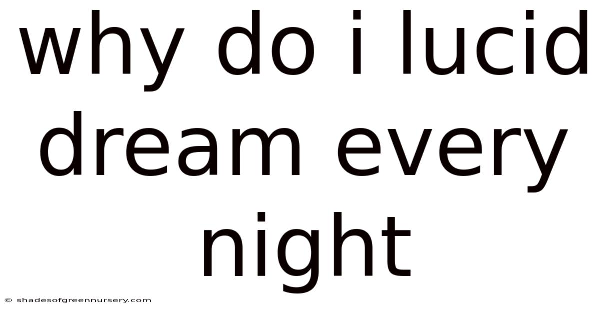 Why Do I Lucid Dream Every Night