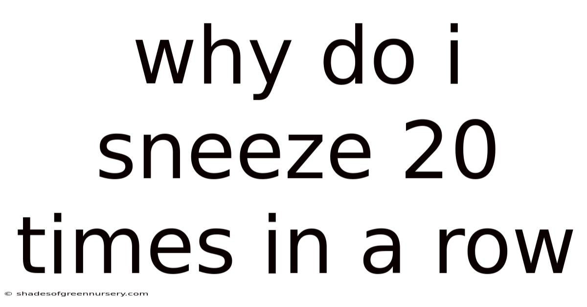 Why Do I Sneeze 20 Times In A Row