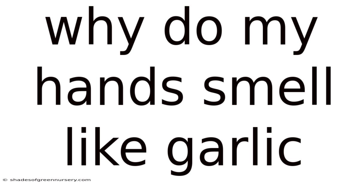 Why Do My Hands Smell Like Garlic