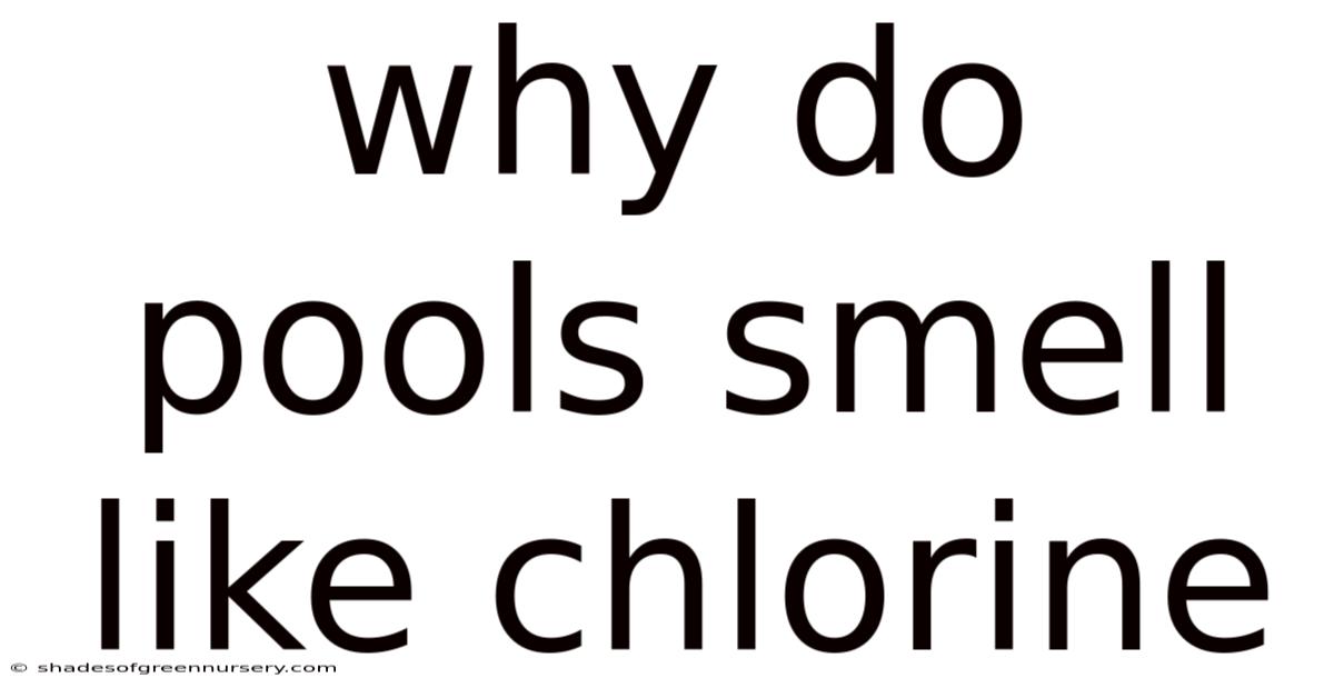 Why Do Pools Smell Like Chlorine