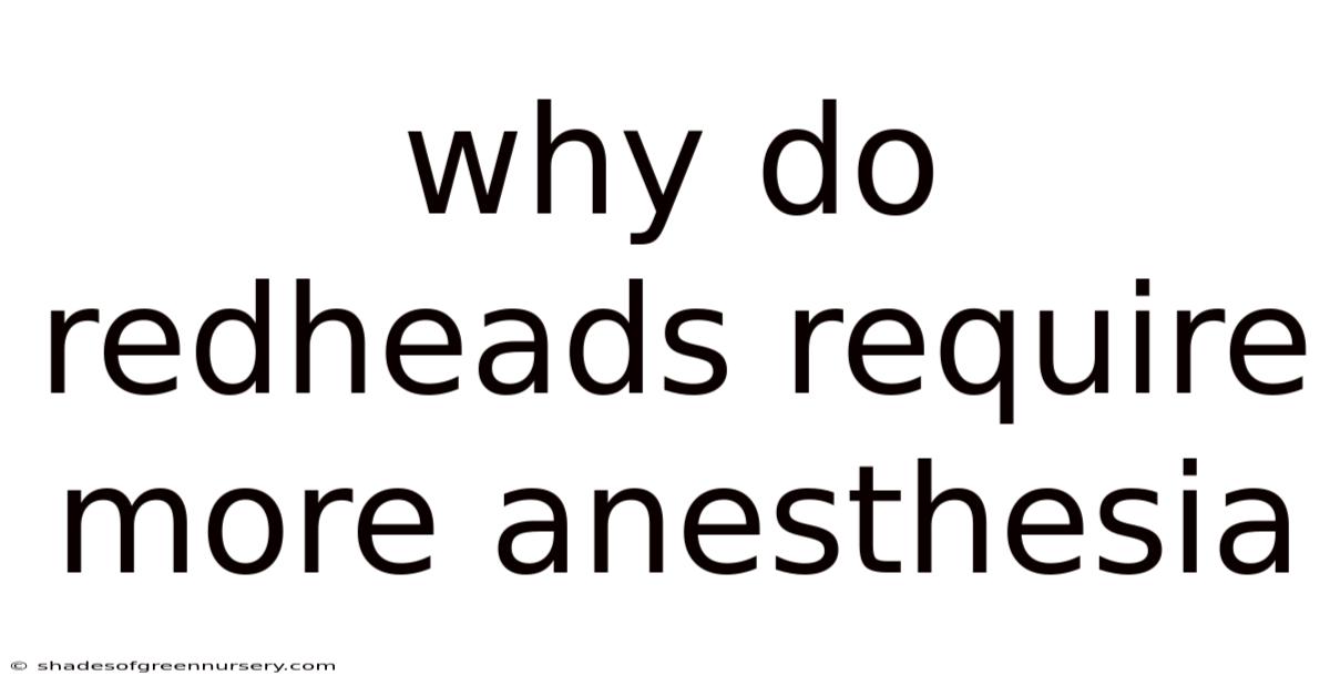 Why Do Redheads Require More Anesthesia