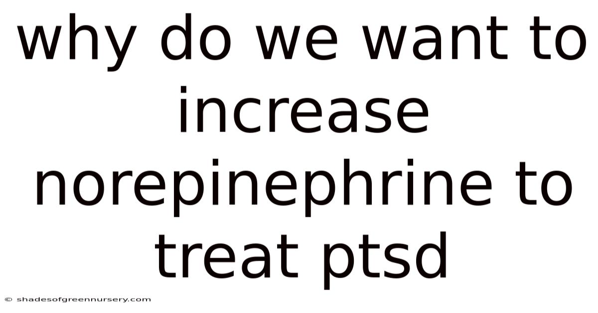 Why Do We Want To Increase Norepinephrine To Treat Ptsd