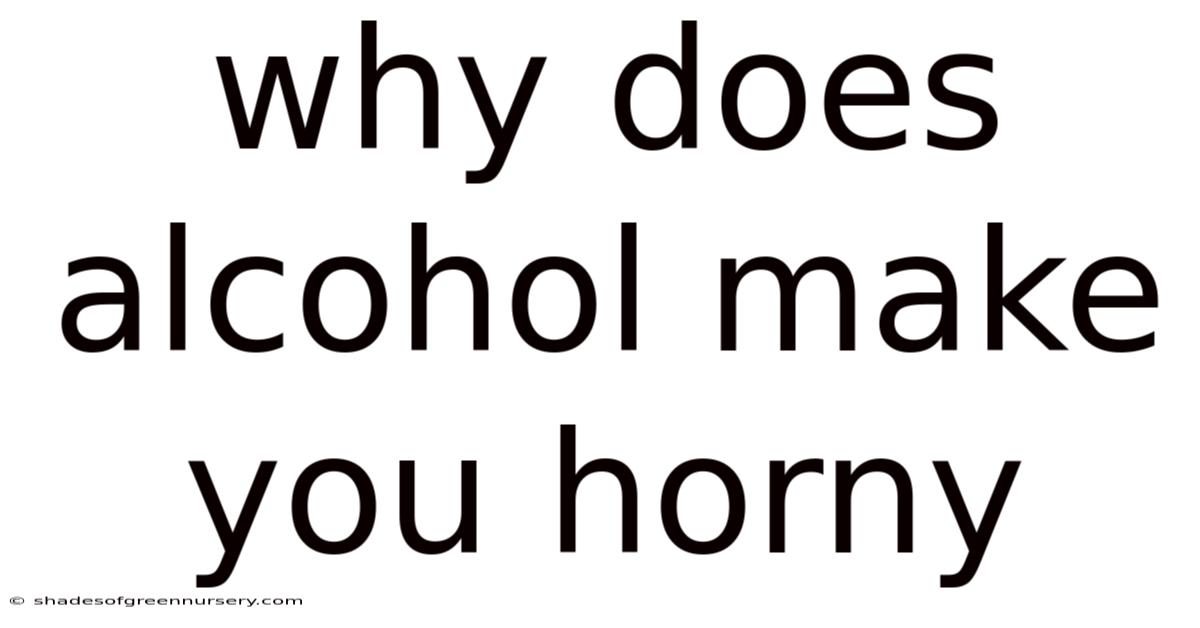 Why Does Alcohol Make You Horny
