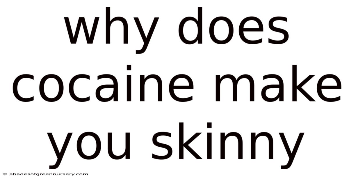 Why Does Cocaine Make You Skinny