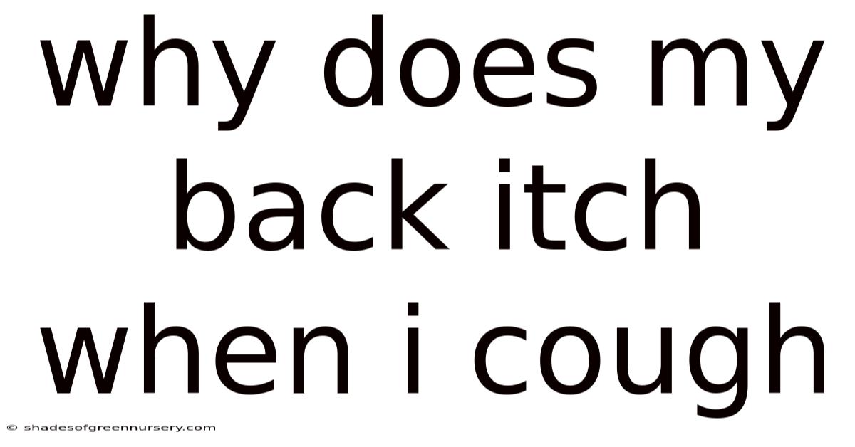 Why Does My Back Itch When I Cough