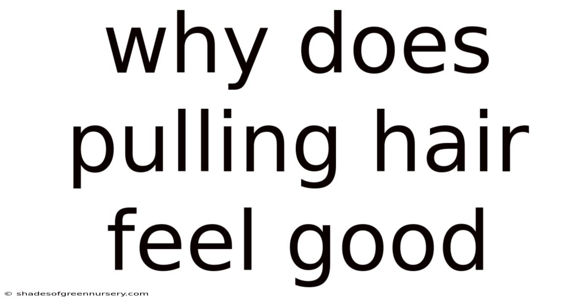 Why Does Pulling Hair Feel Good