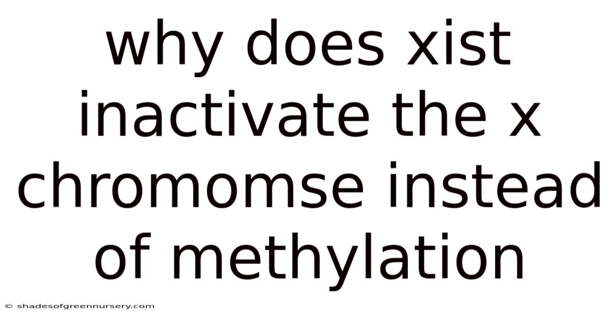 Why Does Xist Inactivate The X Chromomse Instead Of Methylation