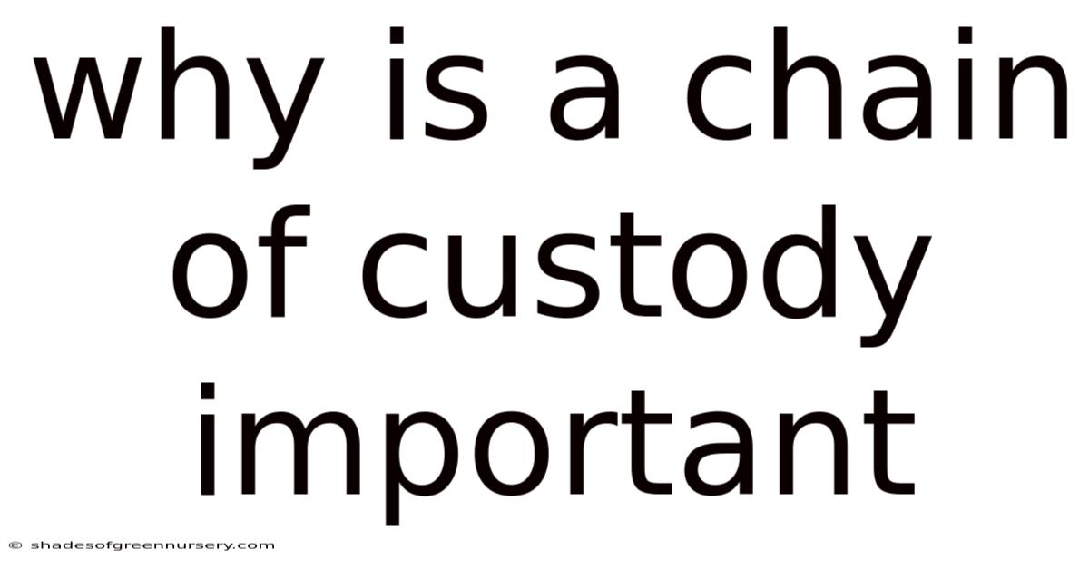 Why Is A Chain Of Custody Important