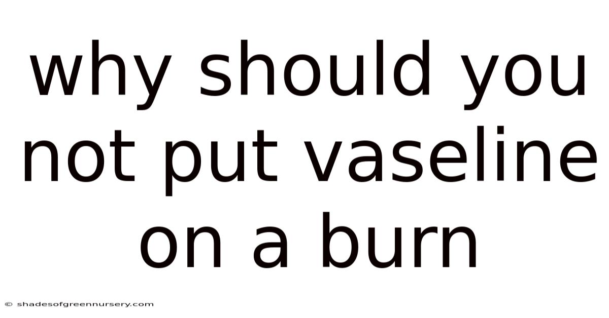 Why Should You Not Put Vaseline On A Burn
