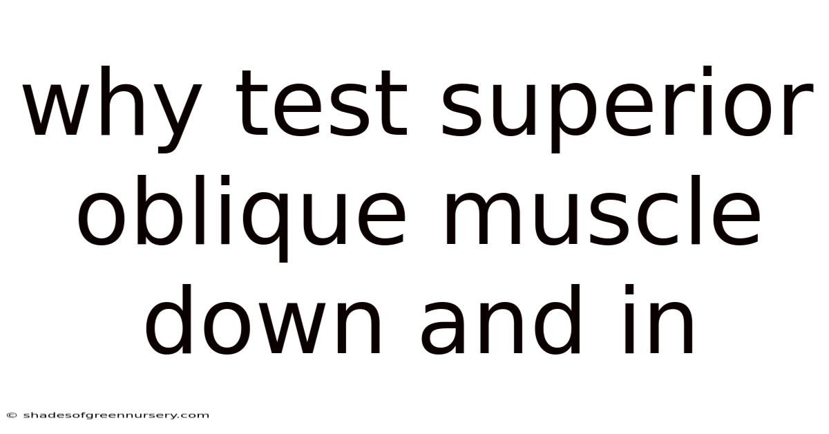 Why Test Superior Oblique Muscle Down And In