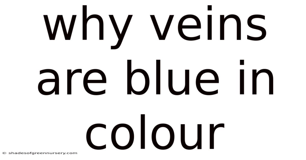 Why Veins Are Blue In Colour