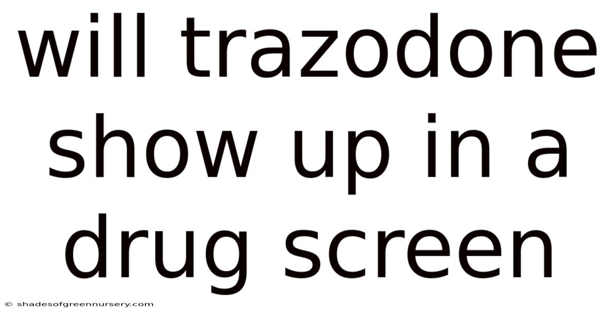 Will Trazodone Show Up In A Drug Screen