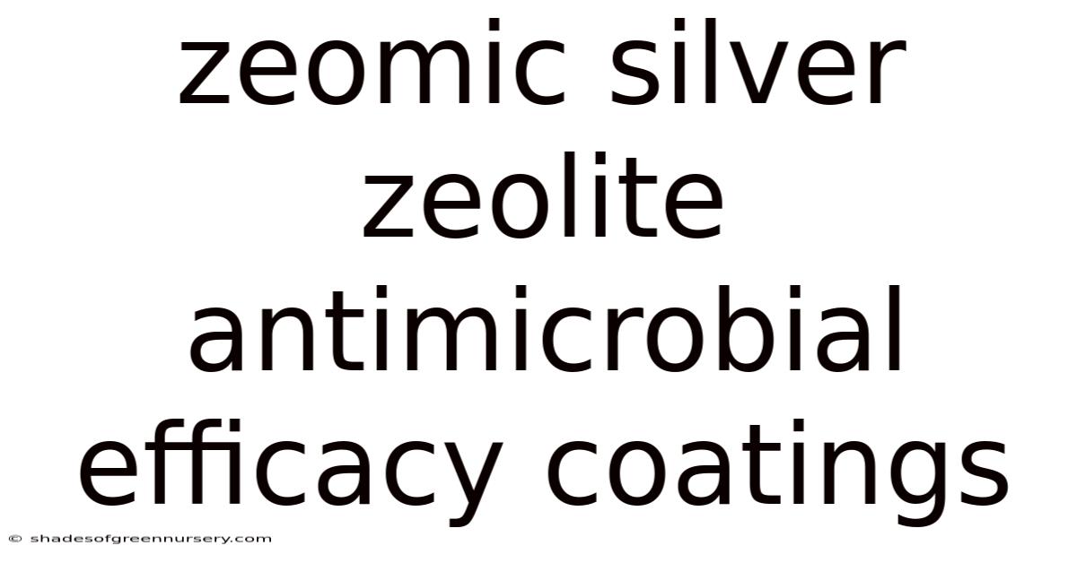 Zeomic Silver Zeolite Antimicrobial Efficacy Coatings